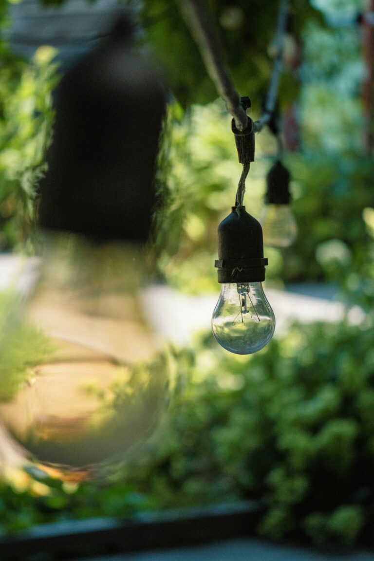 The Power of Sustainable Innovation in Combating Climate Change